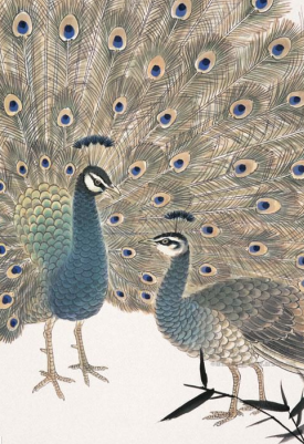 方楚雄：接續(xù)花鳥(niǎo)畫文脈